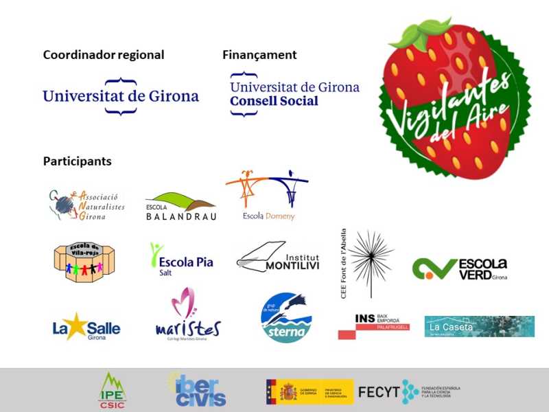 Coordinador regional i finançament