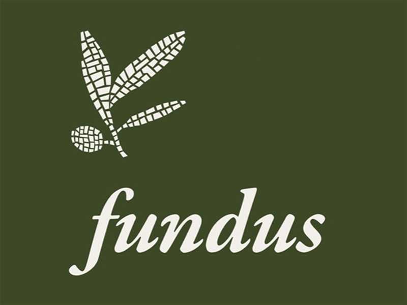 Fundus