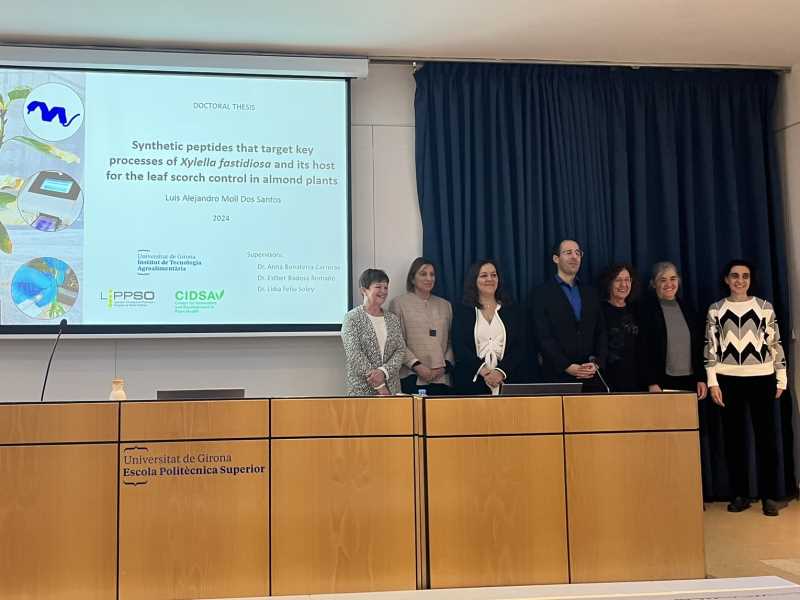 Luis Alejandro Moll Dos Santos Defensa la Tesi Doctoral