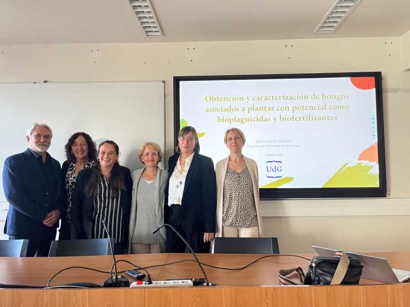 Tesi doctoral Bea Gascón