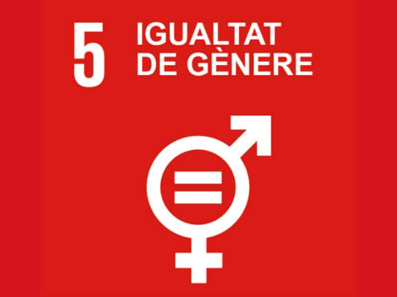 ODS 5 Igualtat de gènere