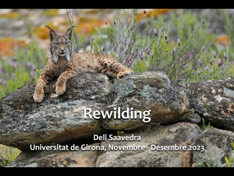 Rewilding
