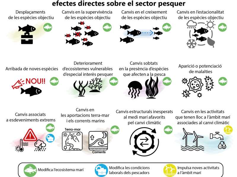 Els efectes del canvi climàtic al sector de la pesca. Font: Ortega et al. (2025).