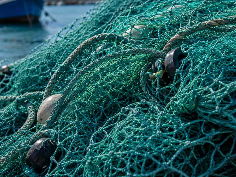 Una xarxa de pesca