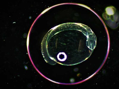 Imatge de la portada de la tesis doctoral de Xènia Frigola Tepe