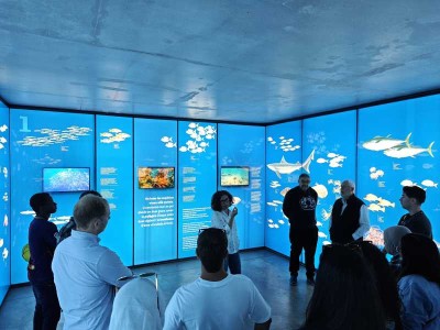 La visita del grup d'estudiants de la Universitat d'Alacant al Museu de la Pesca