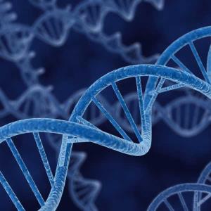 Gens i genealogies