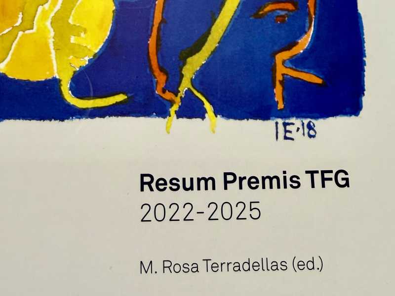 Llibre resums TFG 2022-2025