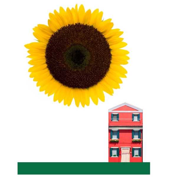 Col·loqui de tardor -Realitats-