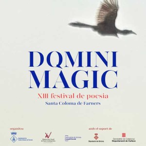 cartell Domini Màgic 2026