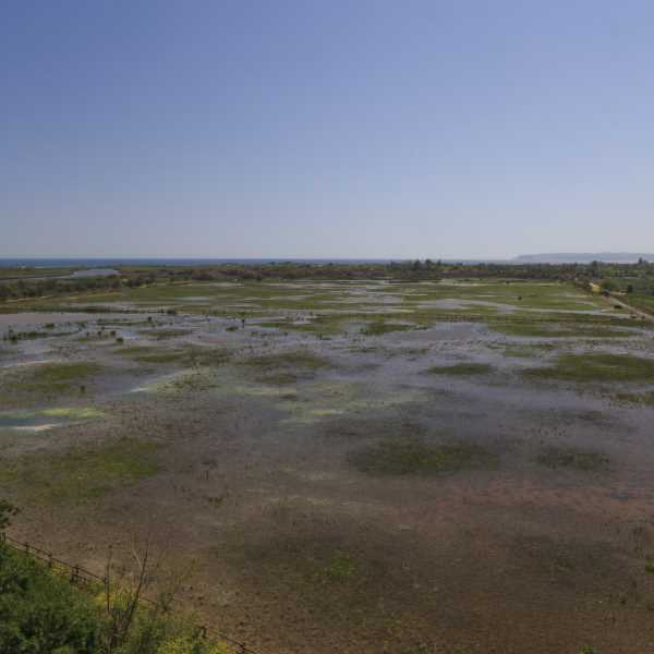 Aiguamolls de l