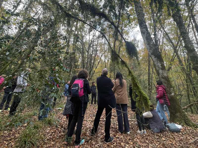 IV FÒRUM SÈLVANS - VALL DE BIANYA