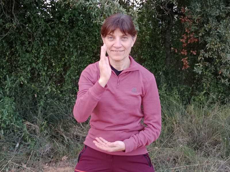 Qi gong