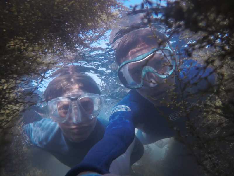 Snorkel
