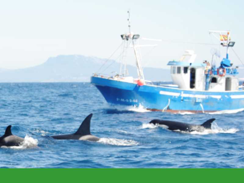 Programa PLEAMAR 2018 Fund. Biodiversidad