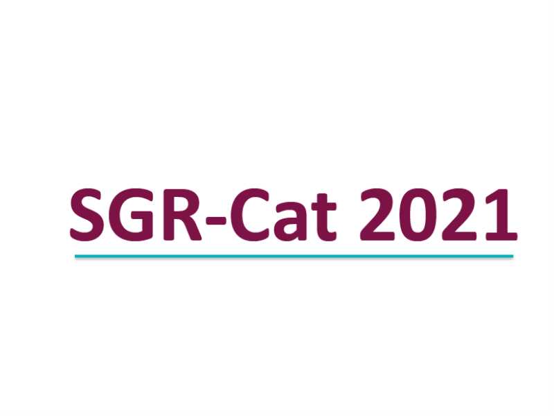 Convocatòria SGR 2021