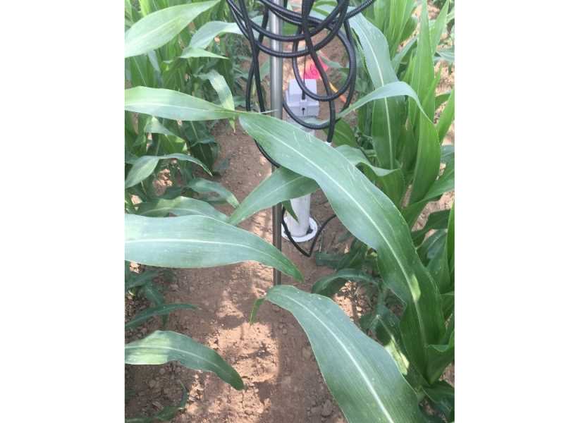 Foto 2. Sensor de front d’avançament i de làmina d’aigua.