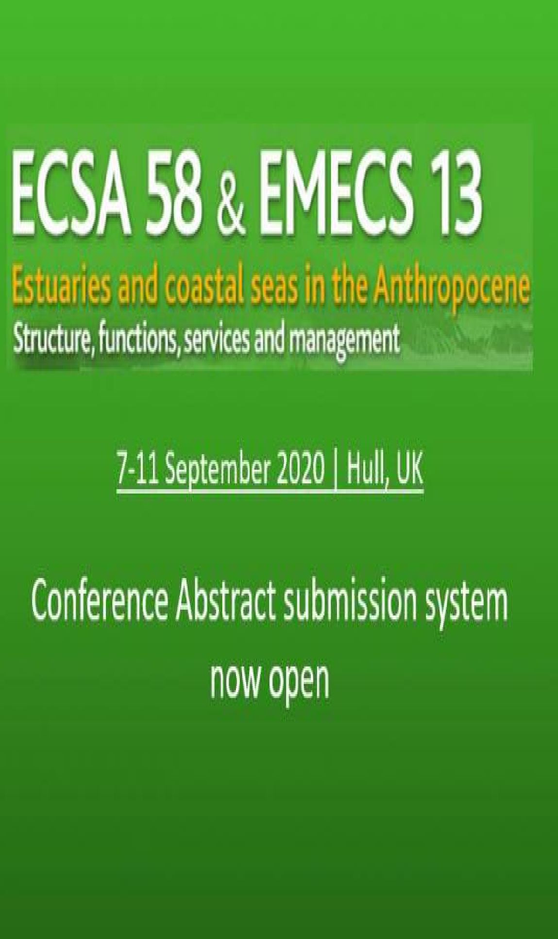 Effect of patchy vegetation canopies on turbidity currents hydrodynamics and sediment deposition.