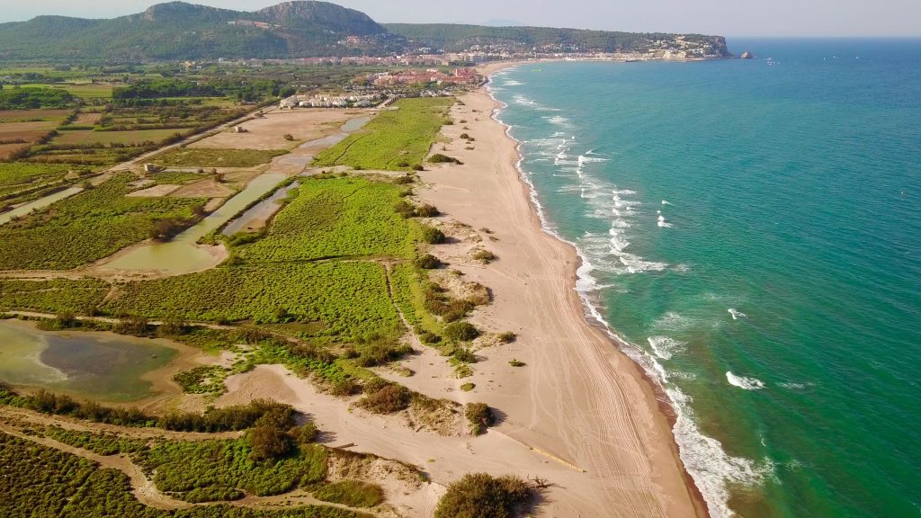 Field Research at La Pletera