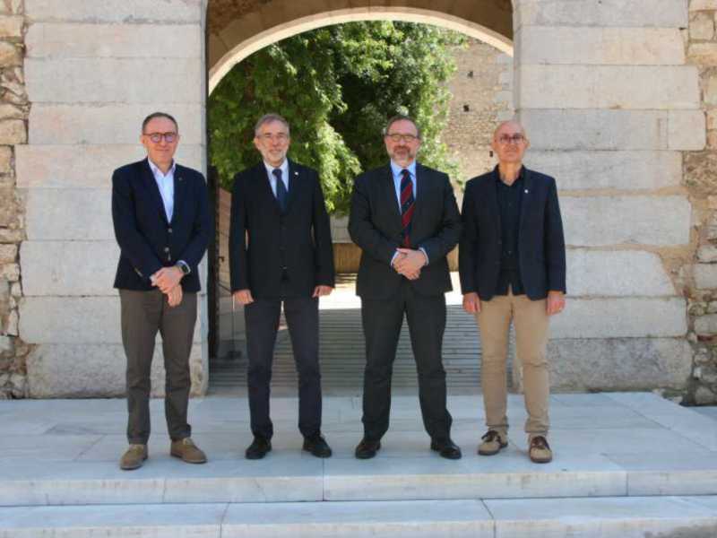 rectors