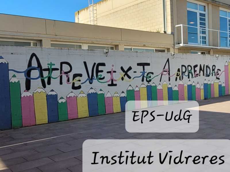 Institut Vidreres