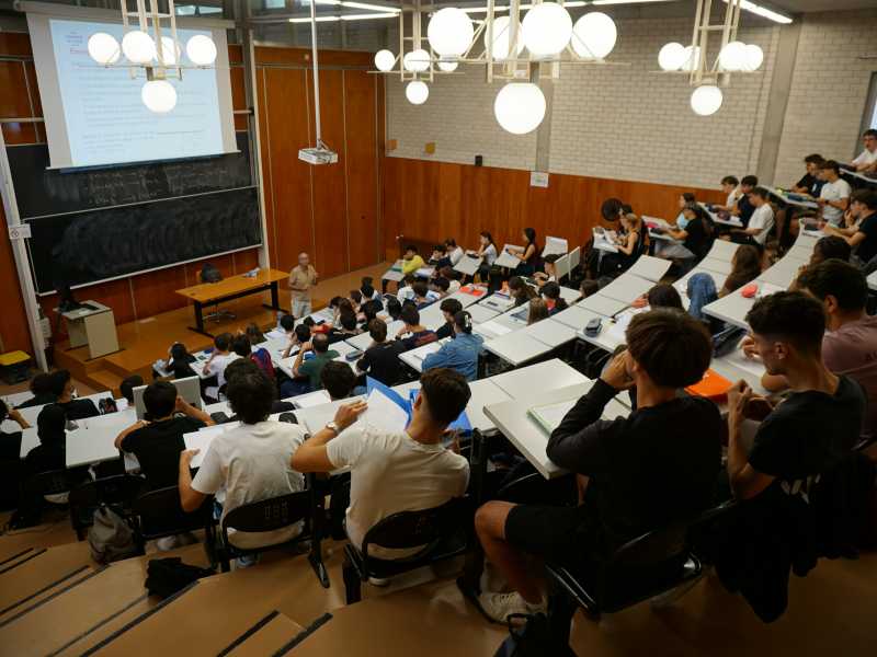 Cursos bàsics