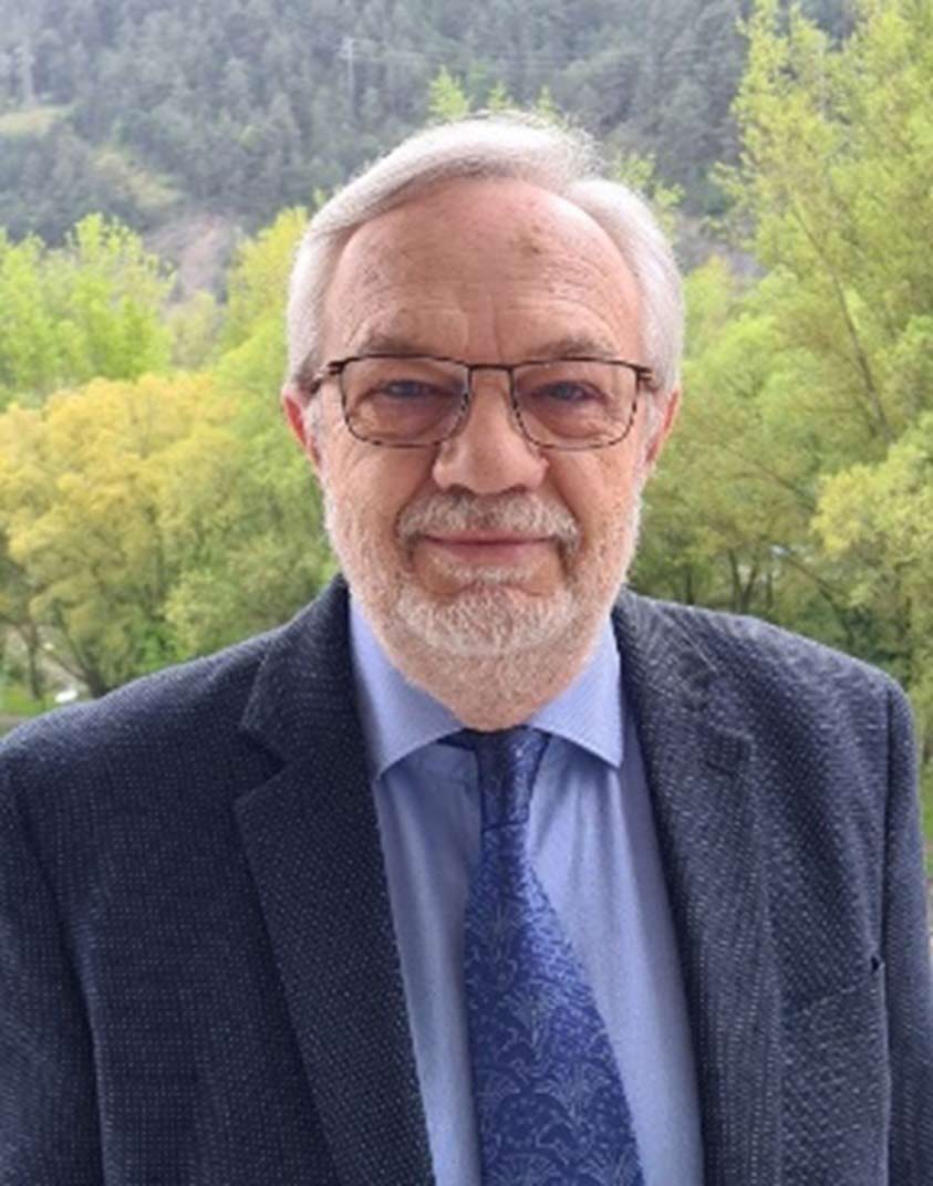 Joan Manuel del Pozo Àlvarez