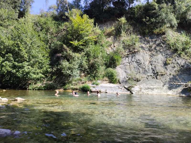 Sortida de camp a Albanyà