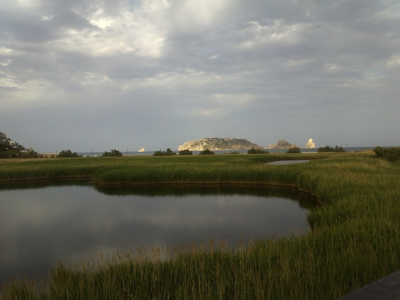 Llacuna Costera del Baix Ter