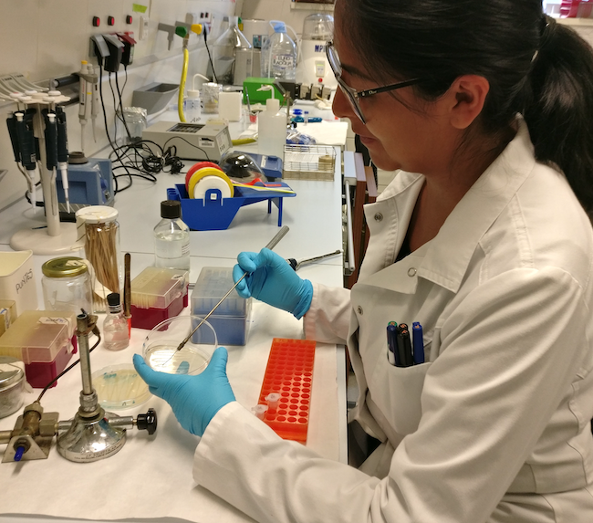 Photograph of Paola Chiluiza Ramos