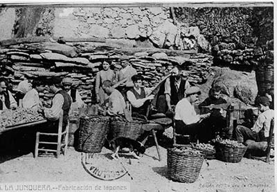 pela del corcho, tres operarios arrancando el corcho de las encinas