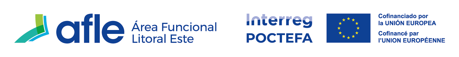 Financiación del proyecto