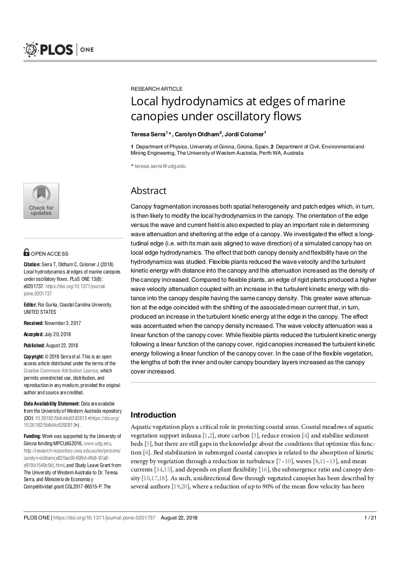 Local hydrodynamics at edges of marine canopies under oscillatory flows.