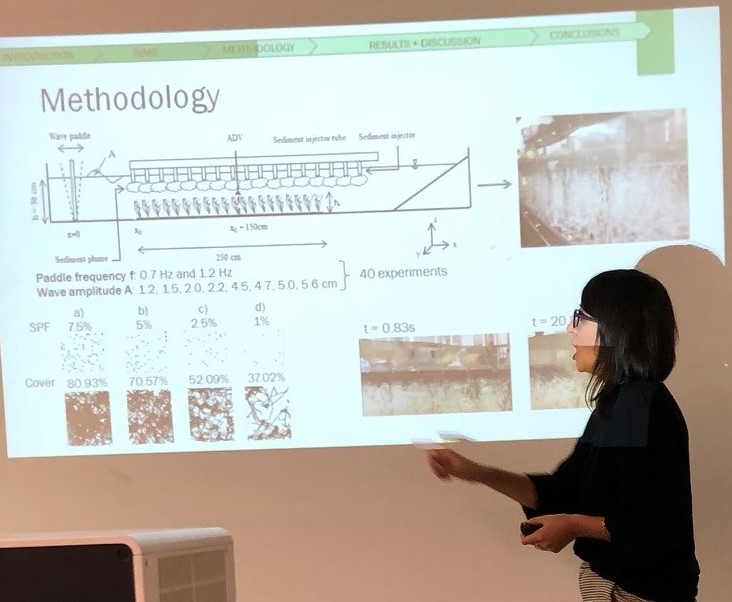 Sediment trapping by a model flexible submerged vegetation in an oscillating flow.